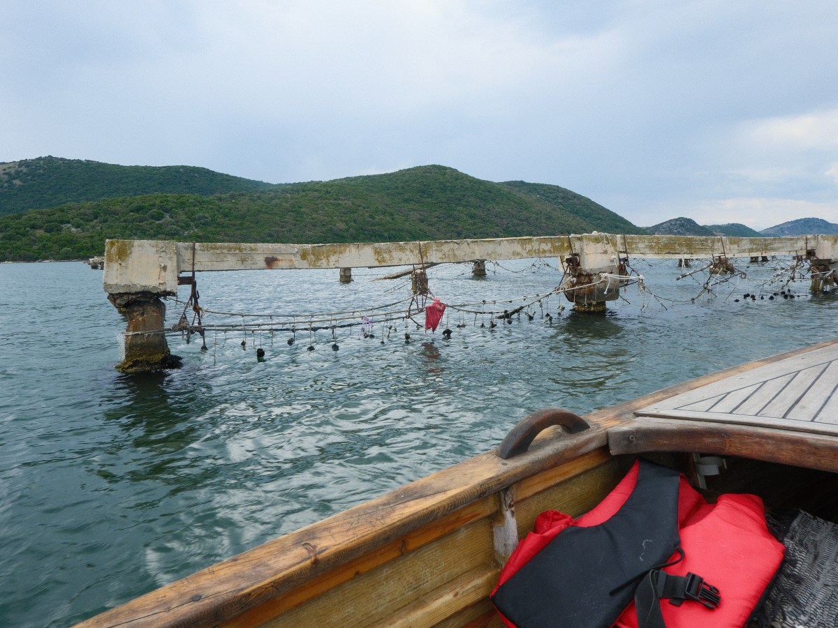 Seeking something different in Ksamil? Try Mussel Farming in Butrint National Archaeological&nbsp;Park