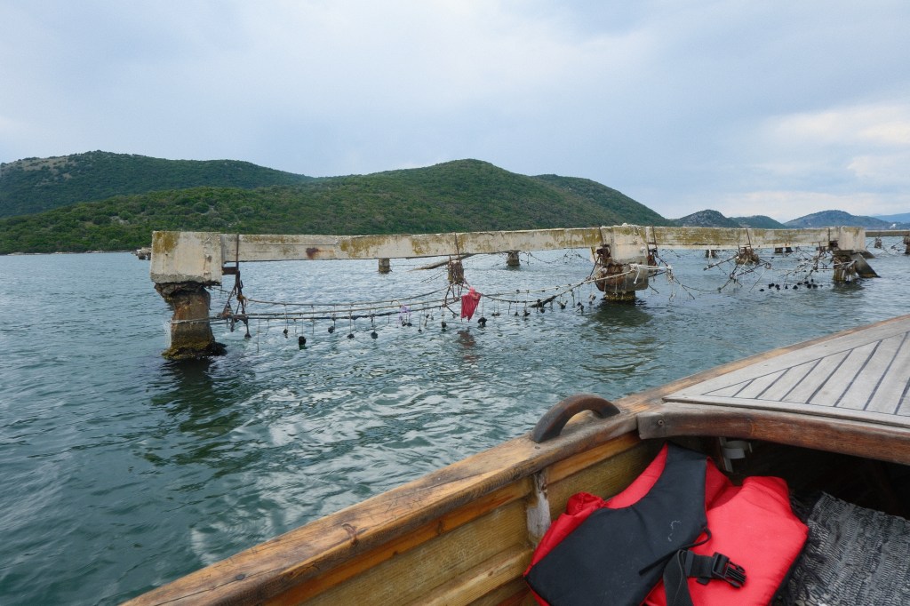 Photo of the mussel farm with the boat in the foreground
